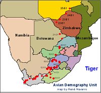 Mapka dosavadn trasy Tigera