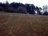 030419_vylet-14-Lety-pole_PICT2534_tn.jpg