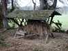 030419_vylet-35-Orlik-les-krmelec_PICT2561_tn.jpg