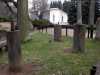 030419_vylet-40-Orlik-park-socha-drevo_PICT2566_tn.jpg