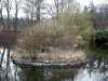 030419_vylet-41-Orlik-park-rybnicek_PICT2567_tn.jpg
