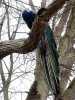 030419_vylet-54-Orlik-pav_PICT2582_tn.jpg