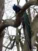 030419_vylet-55-Orlik-pav_PICT2584_tn.jpg