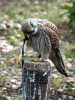 030419_vylet-67-Orlik-ptak-postolka-obecna_PICT2604_tn.jpg
