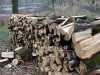030419_vylet-85-Orlik-les-drevo_PICT2627_tn.jpg