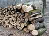 030419_vylet-86-Orlik-les-drevo_PICT2628_tn.jpg